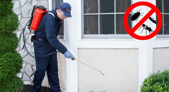 Karaburun Dezenfeksiyon böcek ilaçlama ve haşere kontrolü — ilaclama-tr.com